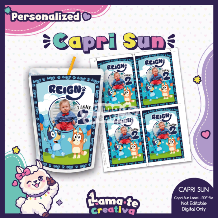 Bluey Party Pack | Chip Bag, Bottle Label & Juice Pouch | Personalized - Image 3