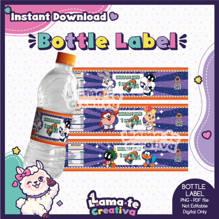 Space Jam Party Pack | Chip Bag, Bottle Label & Juice Pouch | Personalized - Image 4